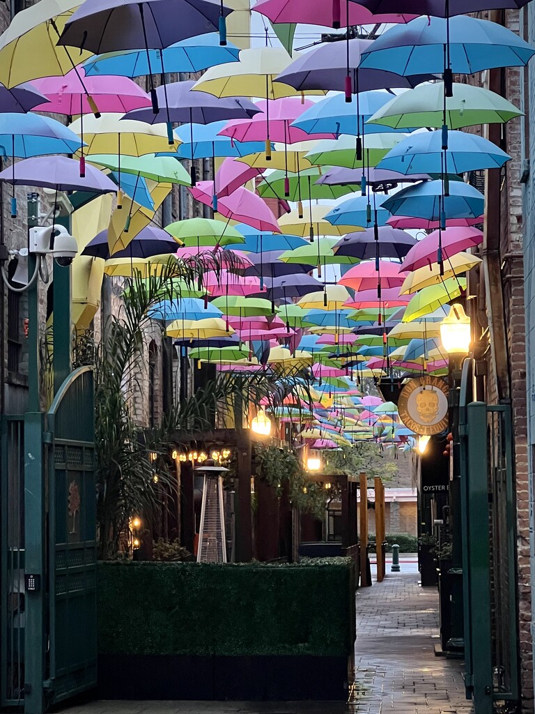 Umbrella Alley by pjtetlock