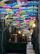 16th Jan 2023 - Umbrella Alley