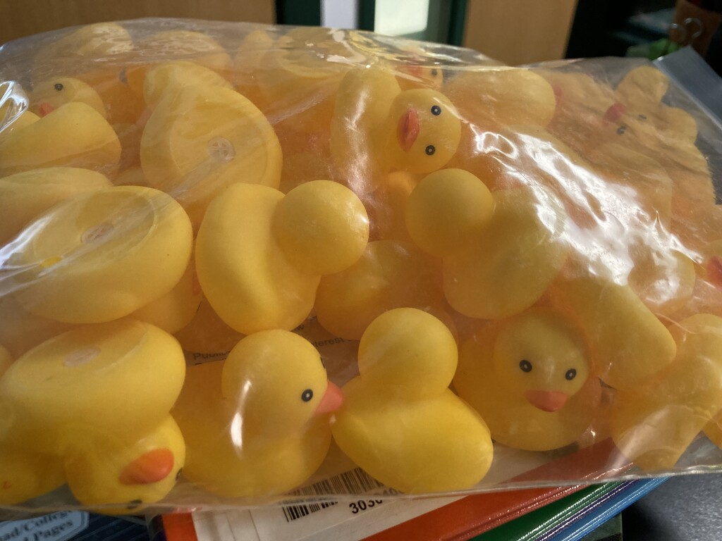the rubber ducks have arrived by wiesnerbeth