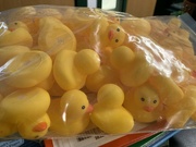 5th Jan 2023 - the rubber ducks have arrived
