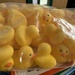 the rubber ducks have arrived by wiesnerbeth