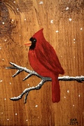 16th Jan 2023 - Painted Cardinal