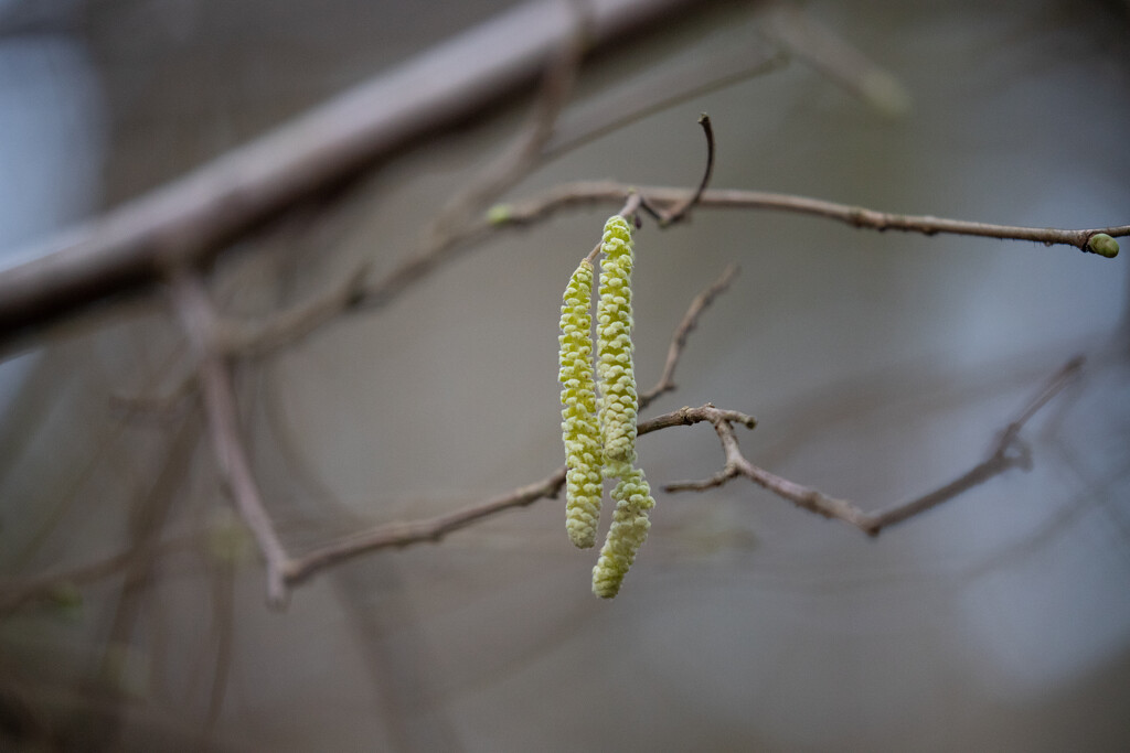 Spring Around The Corner by phil_sandford