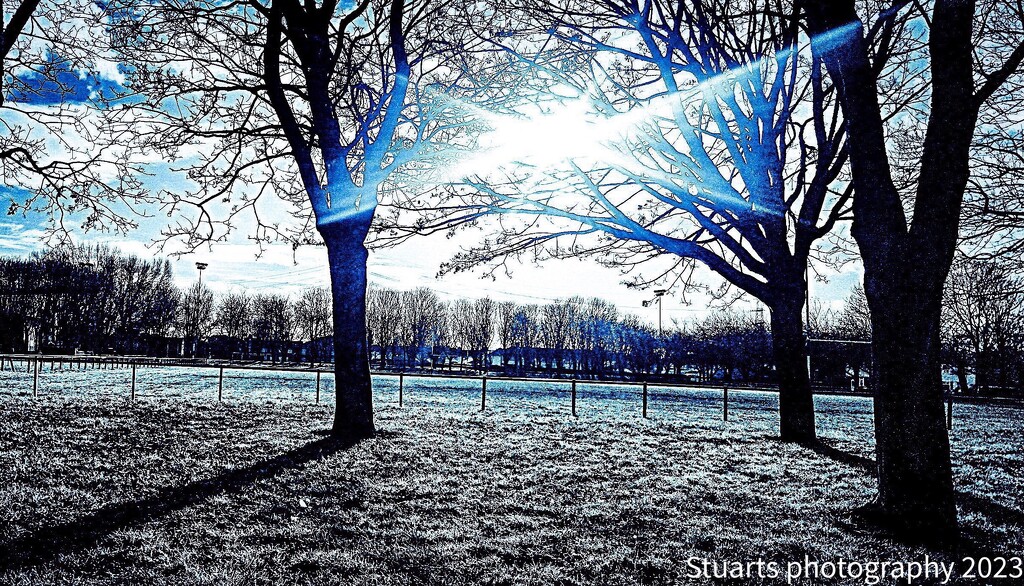 Winter sun by stuart46