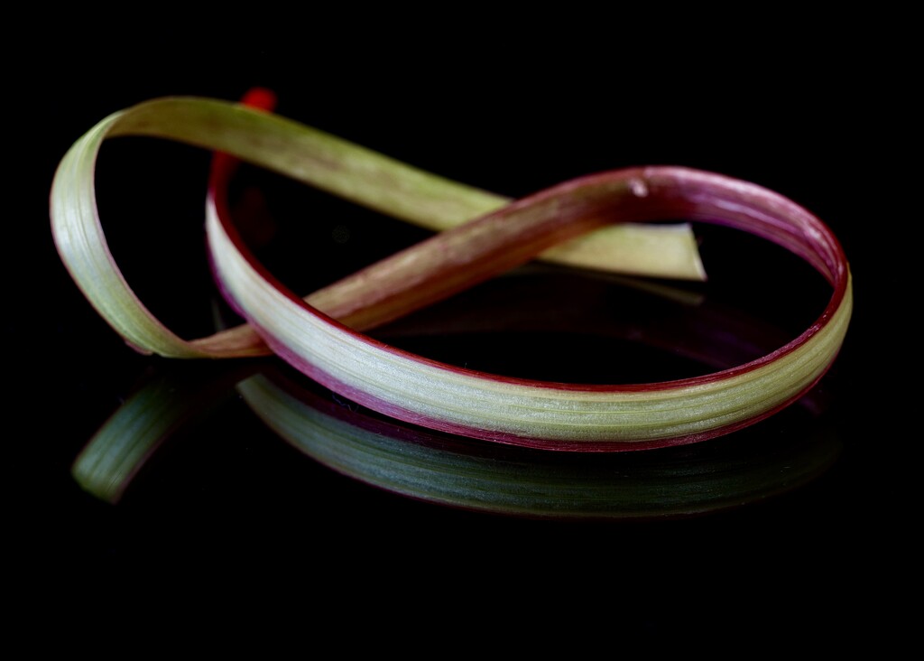 A Ribbon Of Rhubarb Skin  P1175179 by merrelyn