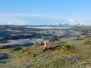 17th Jan 2023 - Tigger enjoying the snowy peaks and the cloud inversion