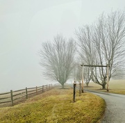 17th Jan 2023 - Misty and Foggy