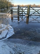 16th Jan 2023 - Frozen flood