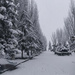 Snow by franbalsera