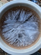 18th Jan 2023 - Iced coffee?