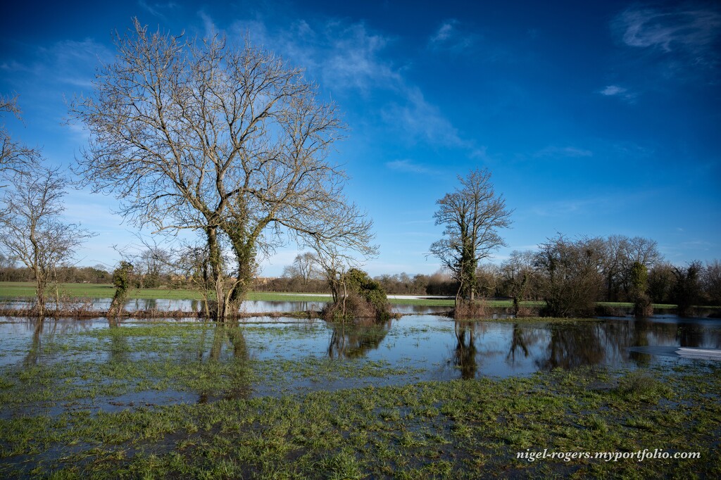 Flooded fields by nigelrogers