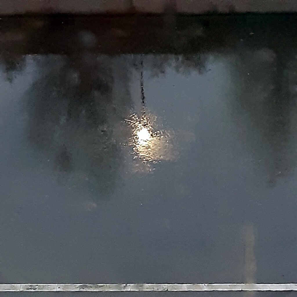 Rainy Afternoon Reflection by granagringa
