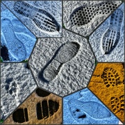 17th Jan 2023 - Fascinated by Footprints