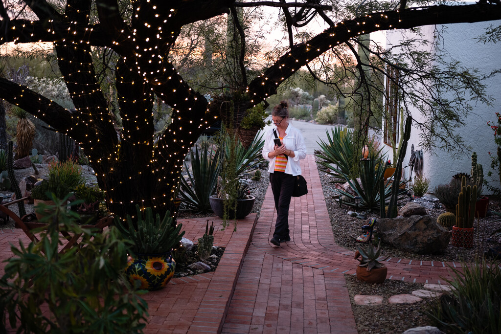 Pam in a Cacti Garden by tosee
