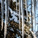 Icicles  by dawnbjohnson2