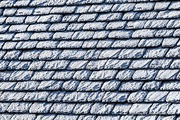 19th Jan 2023 - Frosty Cotswold Roof TIles