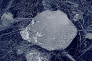 18th Jan 2023 - a portrait of a rock