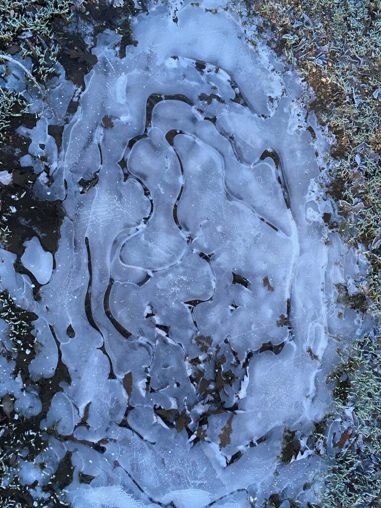 Ice patterns by thedarkroom
