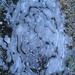 Ice patterns by thedarkroom