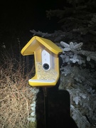 19th Jan 2023 - Hello, BirdBuddy!