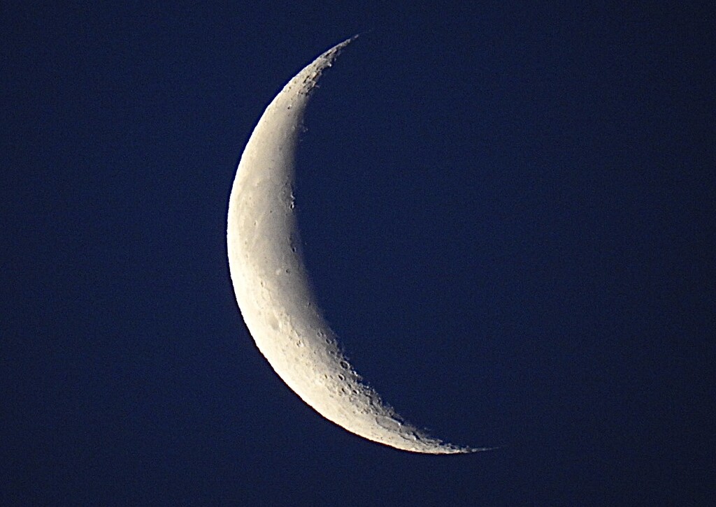 A Beautiful Crescent Moon by susiemc