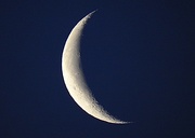 18th Jan 2023 - A Beautiful Crescent Moon