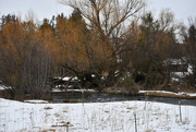 19th Jan 2023 - Just A Small Montana Creek In Winter