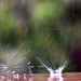 Raindrop Pelting by ososki