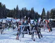 18th Jan 2023 - Lots of Skis