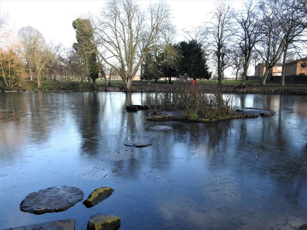 Frozen Pond by oldjosh