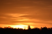 20th Jan 2023 - Yesterday's sunrise over our village
