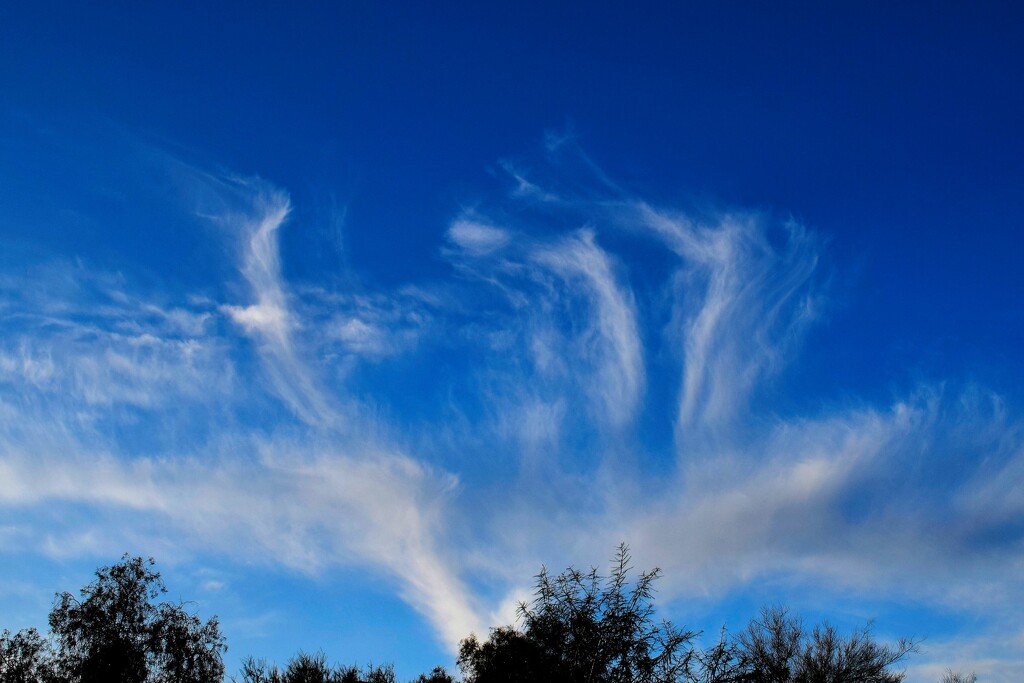 Windblown clouds by sandlily