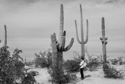 15th Jan 2023 - Pam and the Saguaro