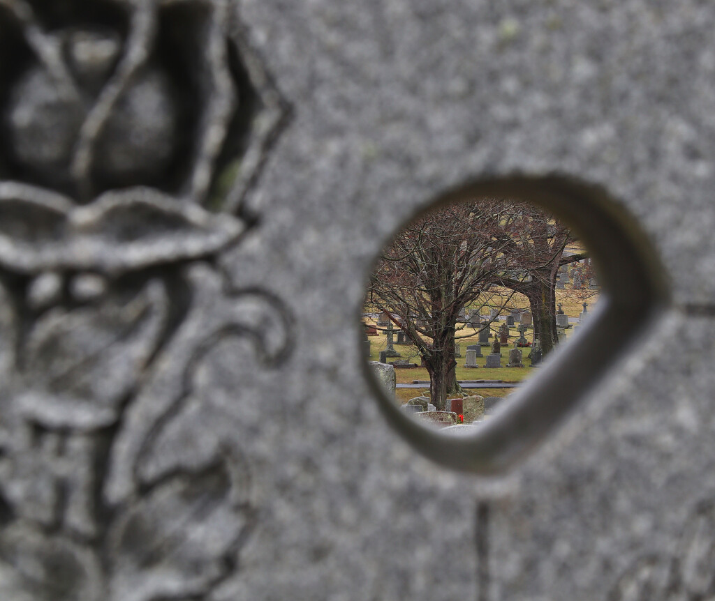Day 20: Cemetery Trees Through Mom’s Headstone  by sheilalorson