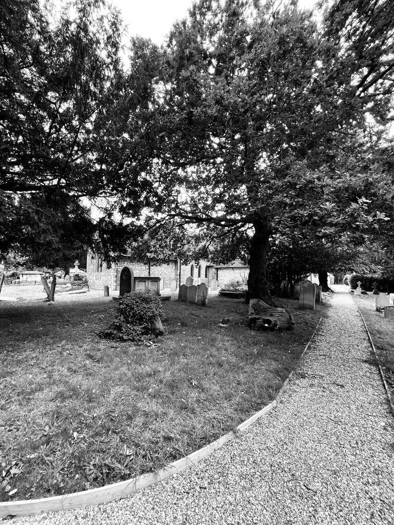 Path through churchyard.  by bill_gk