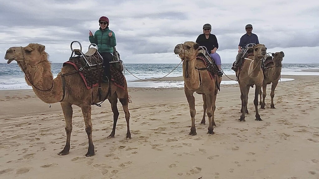 Camel ride at Coffs Harbour Rosie daughter self & Keith  photo taken by camel owner by Dawn