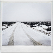 16th Jan 2023 - Snow tracks