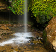 19th Jan 2023 - Nikau Waterfall