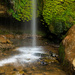 Nikau Waterfall by nickspicsnz