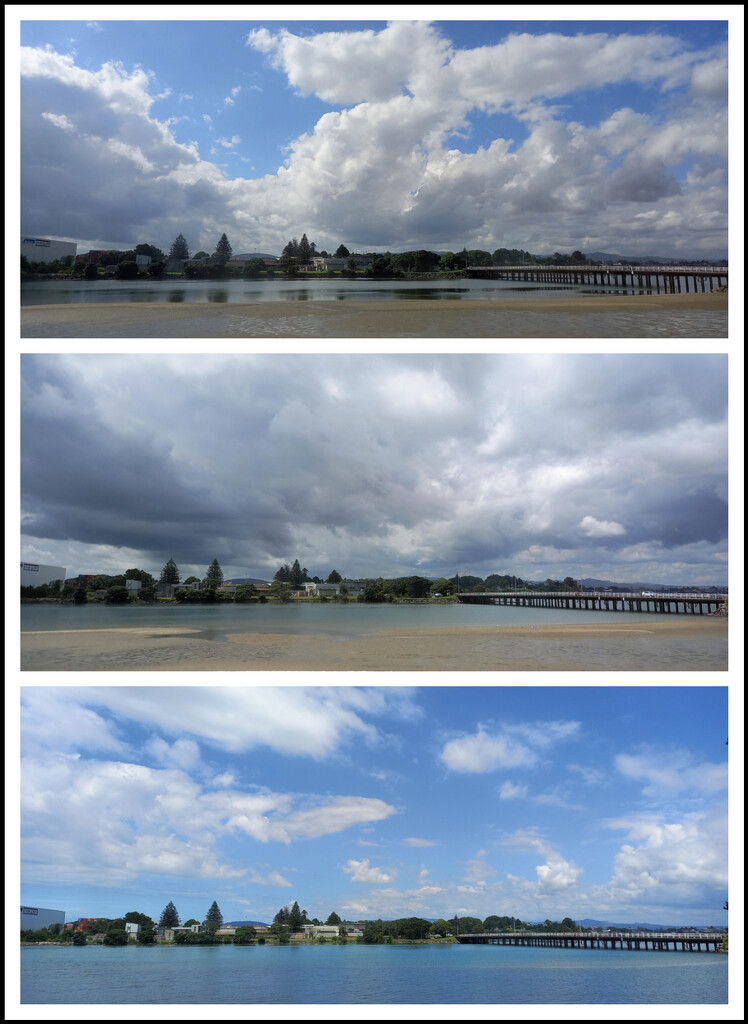 Estuary Triptych by chikadnz