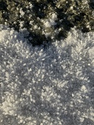 21st Jan 2023 - Crystal snow