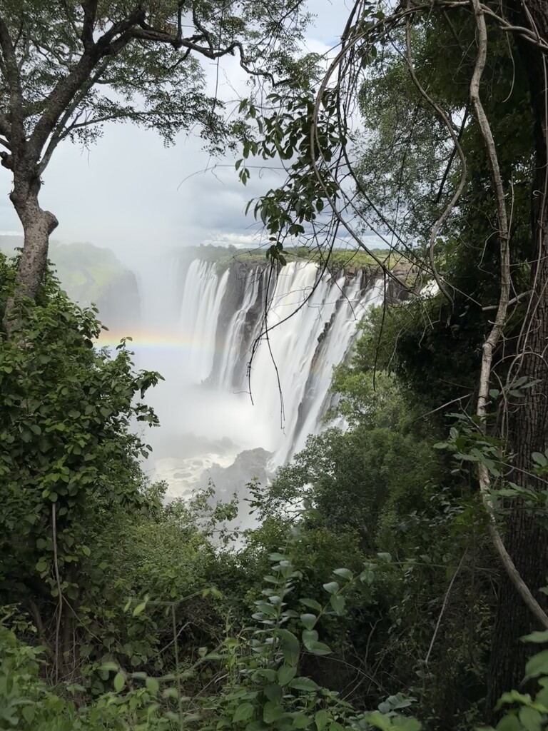 Bucket list ✅ Victoria Falls  by wendystout