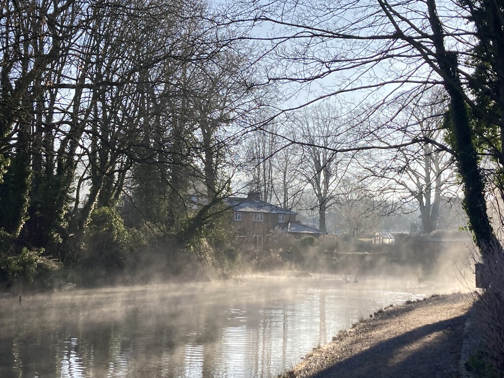Misty Canal Walk  by cataylor41