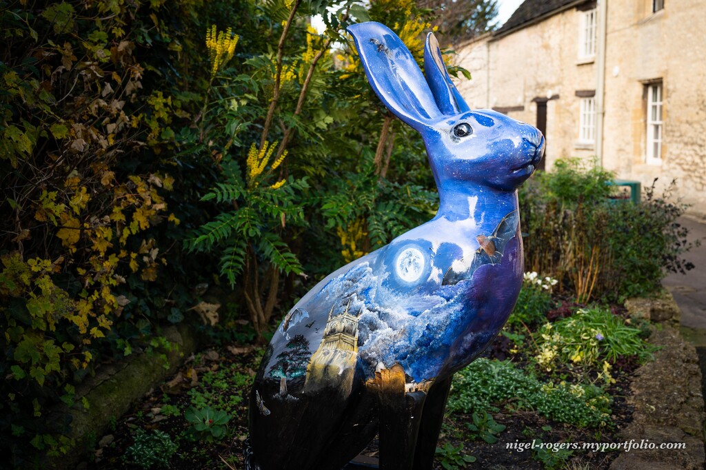 Cirencester Hare by nigelrogers