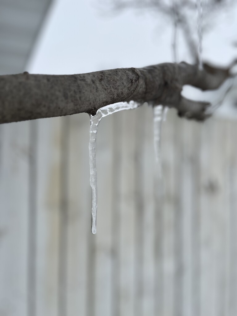 Frozen drip by pennyrae