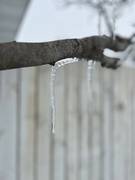 19th Jan 2023 - Frozen drip