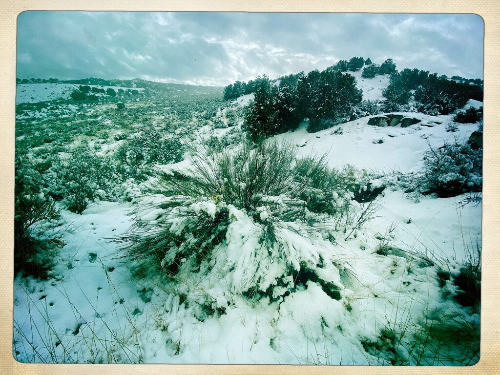 Snow Landscape by jeffjones