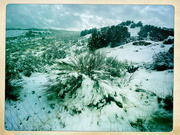14th Jan 2023 - Snow Landscape