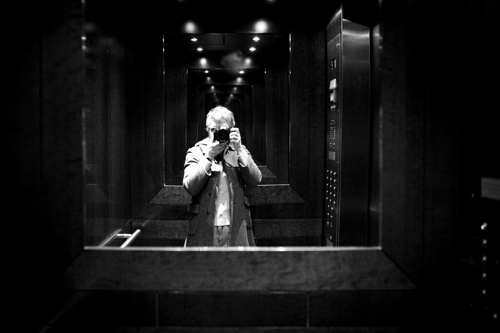 Selfie in the Elevator by darylo