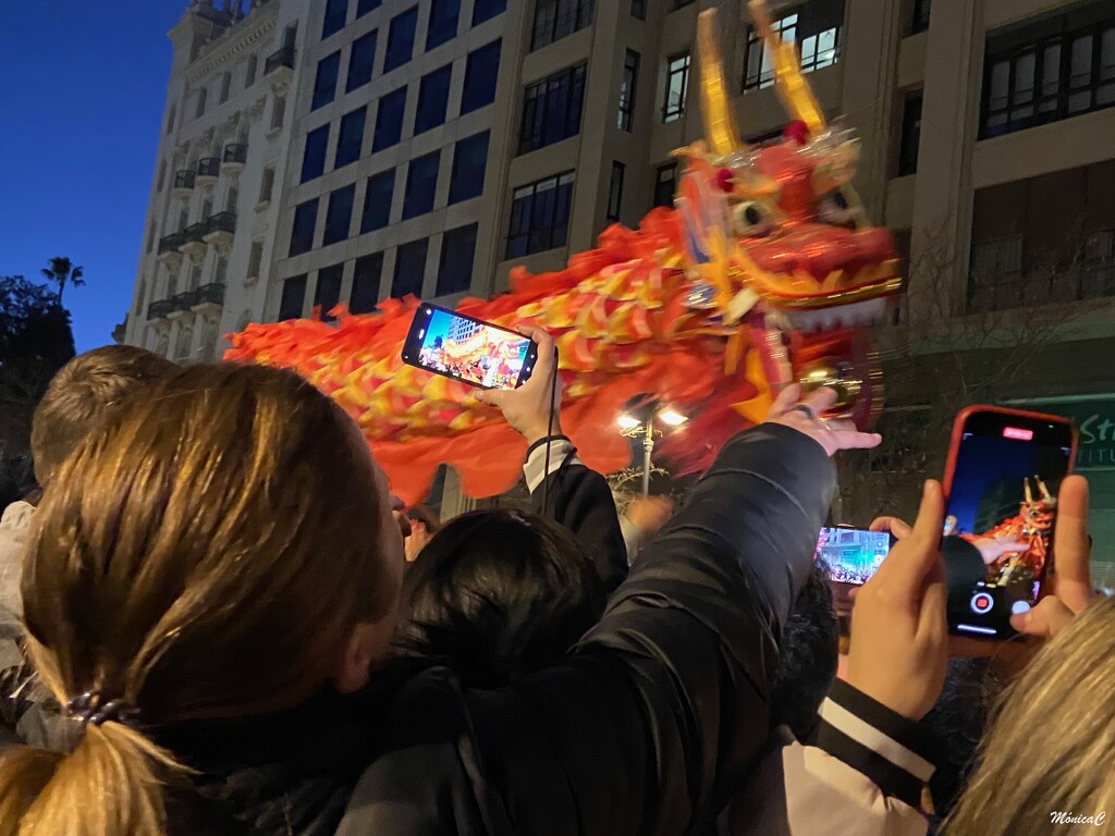 Chinese New Year by monicac